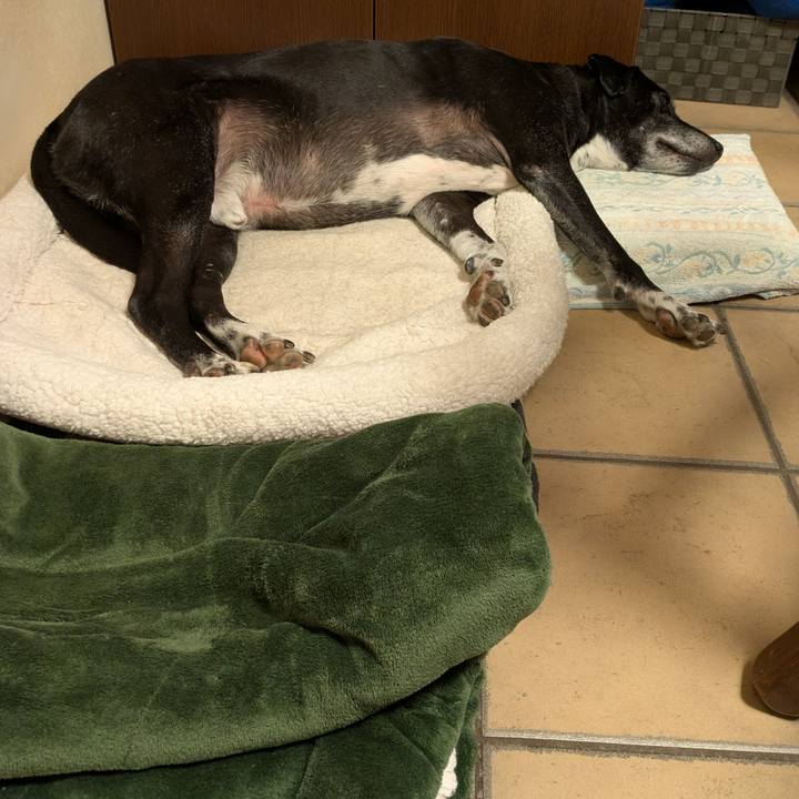 Ebd2b945 5605 4430 b100 8f7b674e9b48 1762217524433