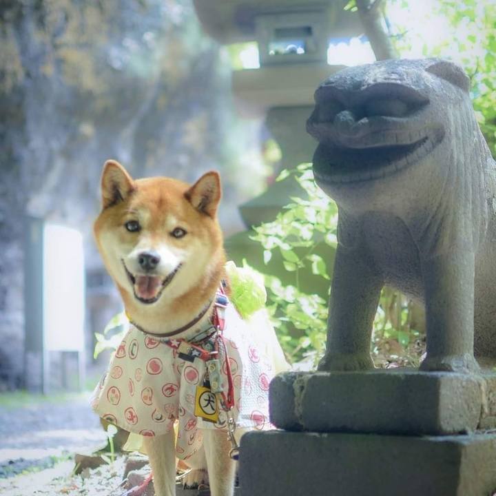 Ebd2bad2 d4b2 4c13 9091 6b5394af73a3 1689314939263