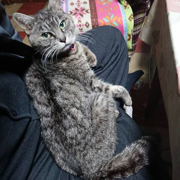 Ebd2cdaa e22f 408d a4fb 3140f0d5d1f6 1578693554527