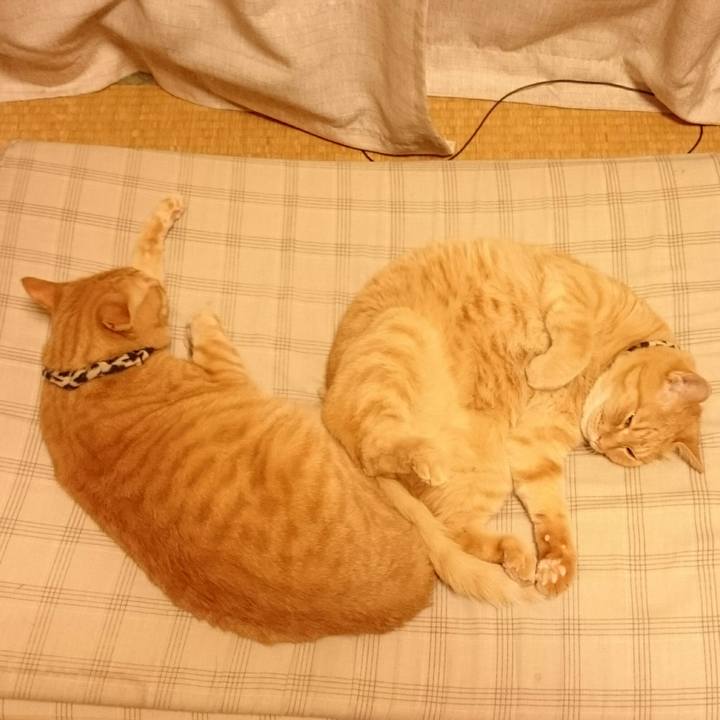 Ebd2d173 8830 4b39 a4a2 e89396aa24de 1535774951660