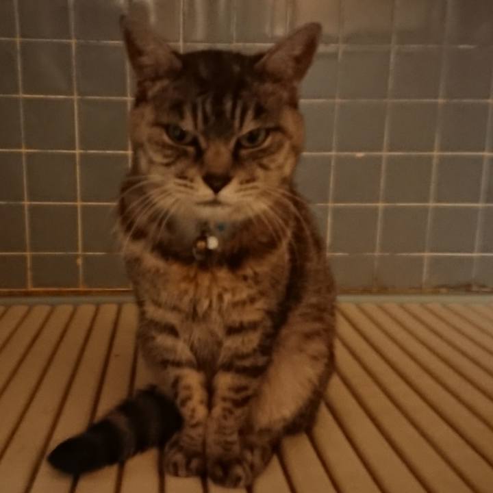 Ebd2f2d2 9327 4000 bae8 2386ee474fa0 1572513336338