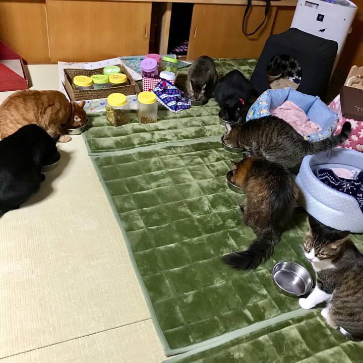 Ebd30951 5e19 4827 84ab 02e40cc57d20 1510008386079