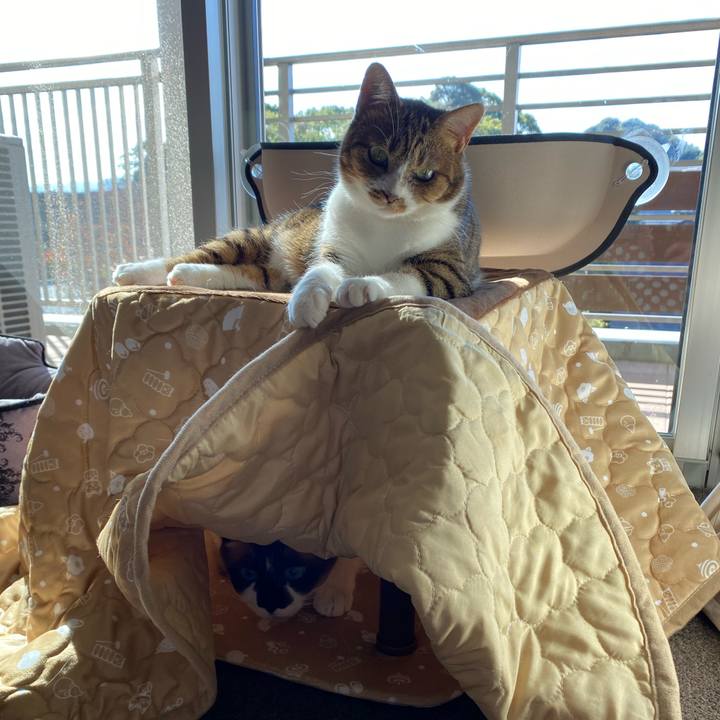 Ebd34d02 14d3 45b0 a65a 992fe247128c 1608866839194