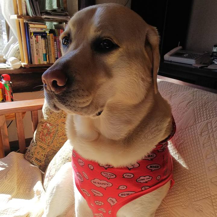 Ebd37511 20c6 48e4 b09d d29c37ceb79e 1578480647521