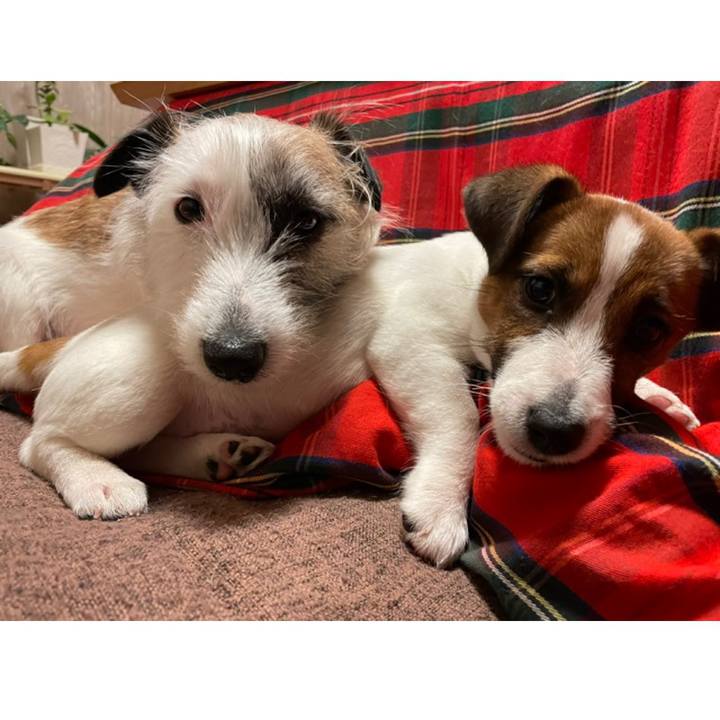 Ebd37ad9 73f0 48c0 a082 da368580e005 1618642045989