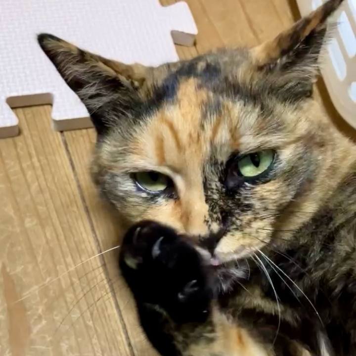 Ebd3bb64 ba1c 40de 8a34 5e63a7106cec 1732131099840