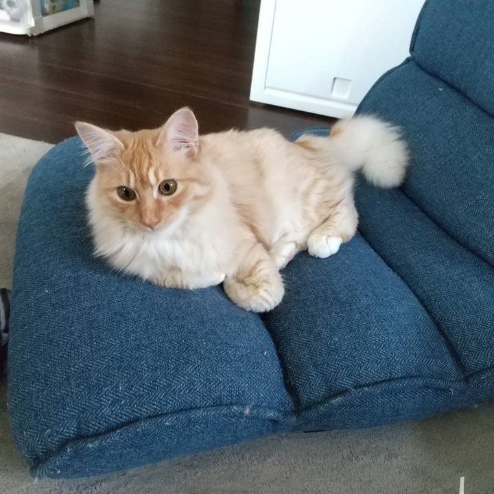 Ebd3d11d 29dc 4f56 ac90 8f226ccc898a 1621826754845