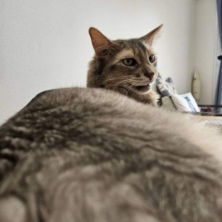 Ebd3d9df b1c9 4411 a2db 4858709b4f26 1719709806429