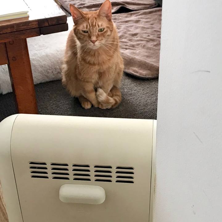 Ebd3f0d8 c5b6 4340 9fd1 e337e57f4729 1547178399553