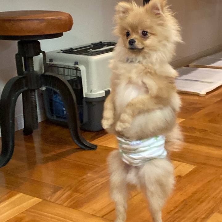 Ebd41143 698c 4bc6 a376 2f45575552cf 1643799367199