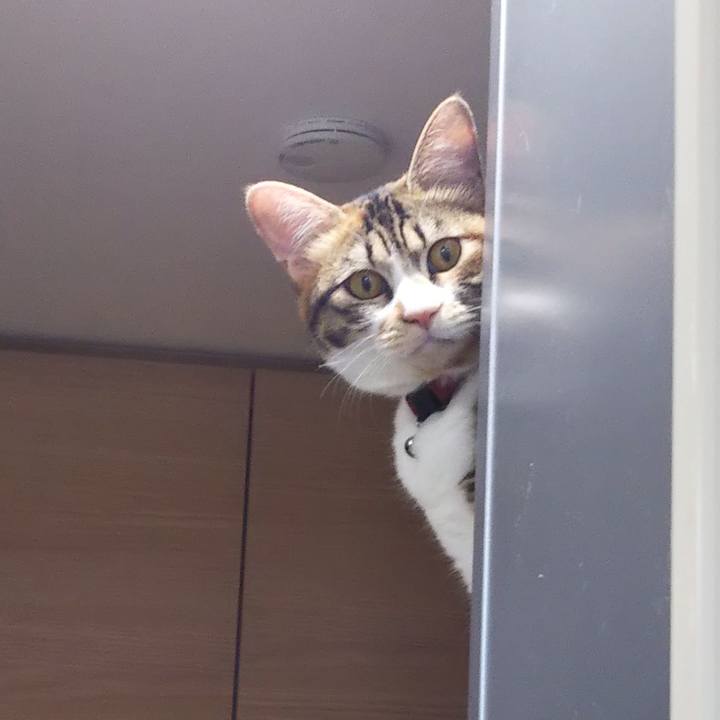 Ebd42493 84b0 4f65 b510 fadbc4f37446 1653258552281