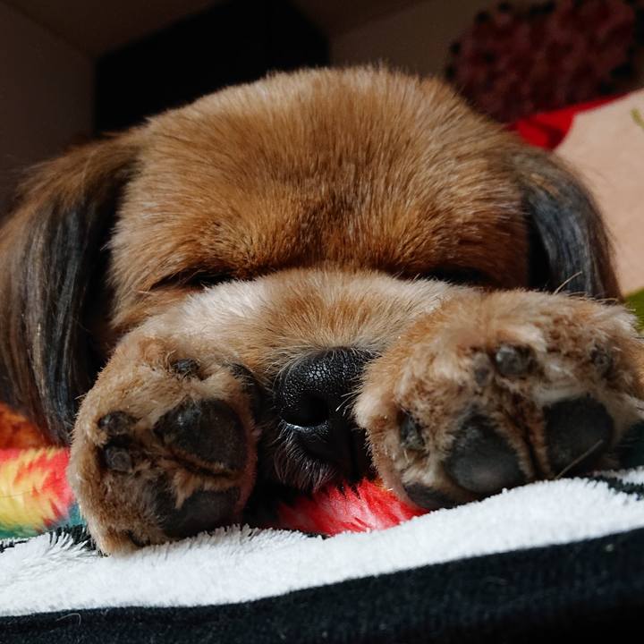 Ebd43572 4cfd 4a0f a84f d8a7d6307c8c 1547044086614