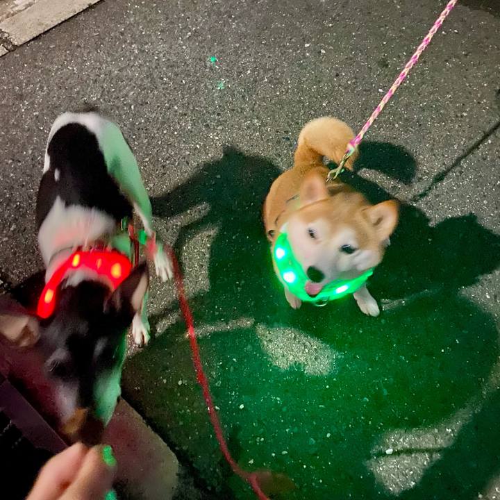 Ebd45e81 25f1 47e0 8365 f7432ca098a4 1629463696253