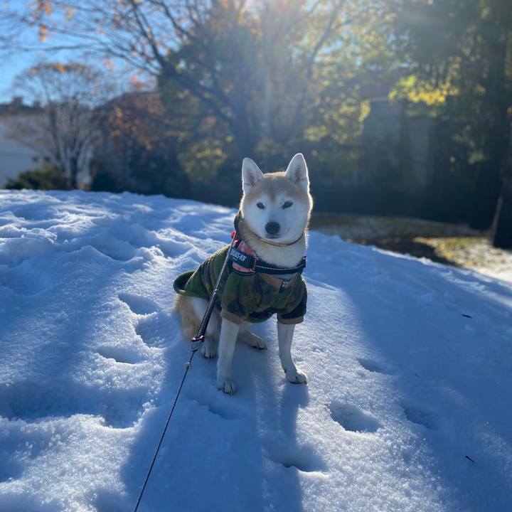 Ebd4cfbf 5f8f 4905 9e68 8971d1612b2b 1731058142528