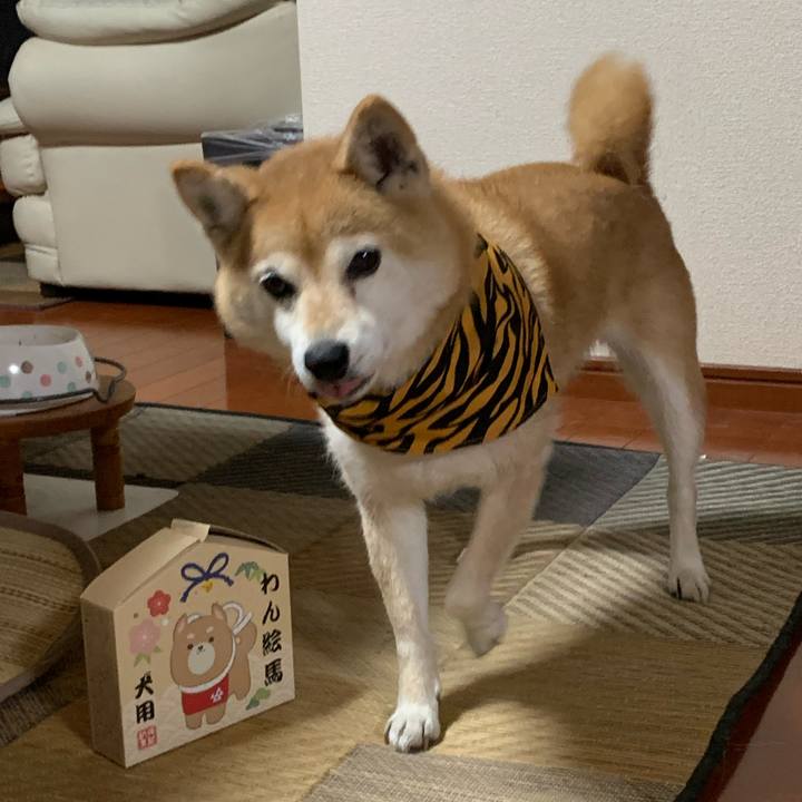 Ebd4d383 39c4 4b04 a5fb d9eb42541337 1641038156171