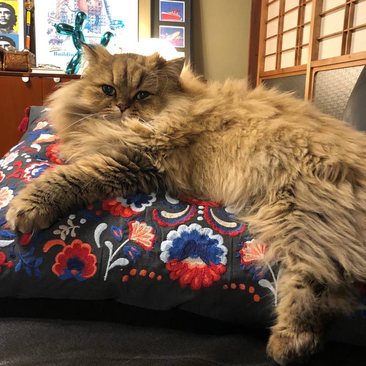 Ebd4eb72 fdfe 4ce5 9494 ebf3d5ad4615 1577618325252