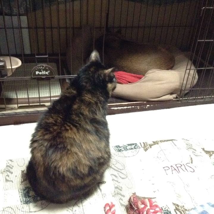 Ebd4ef8f 0067 4066 ad15 992347d0706e 1510322734732