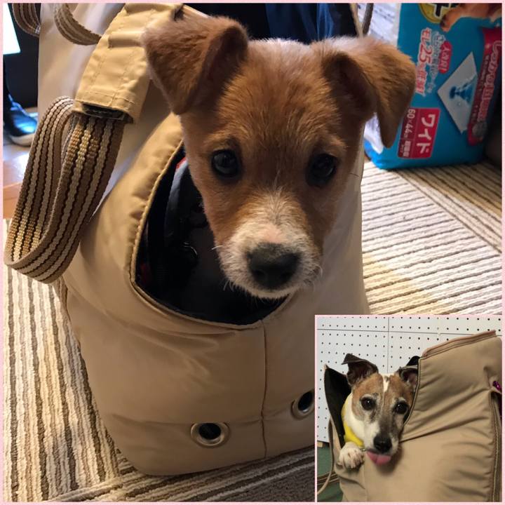 Ebd50122 516e 4933 aafb dc625297e55a 1544658889173