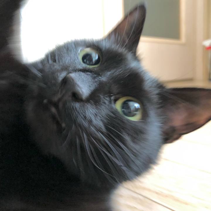 Ebd53095 2513 4d5b 9b21 374b9af15065 1615640245997