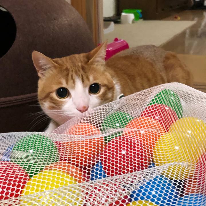 Ebd53210 6ddf 4906 a0c2 e1e459f6a527 1550139946629