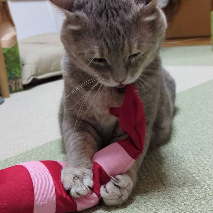 Ebd54171 a675 45db aa6e 26fae47098d9 1759207134271