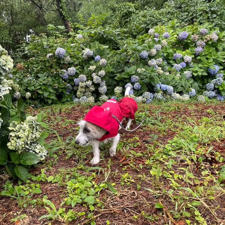 Ebd56d8b 9130 4a51 99eb 73cd0b2bc6ec 1659482778472