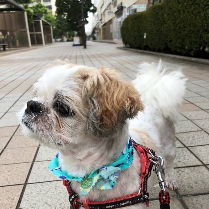 Ebd59592 725f 499e 95e6 b4b7bccda7c6 1598996673348