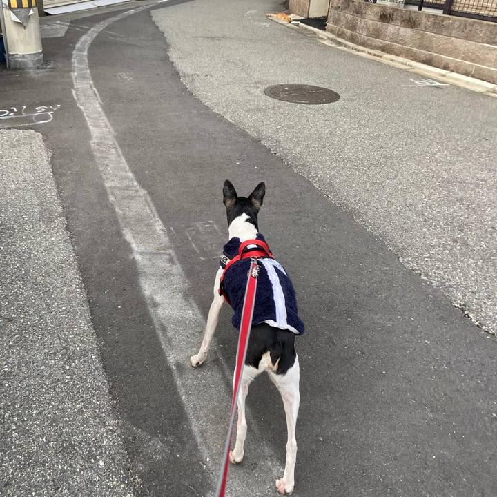 Ebd5ae08 cb63 406d abc4 1fc2fba3bc19 1583052542481