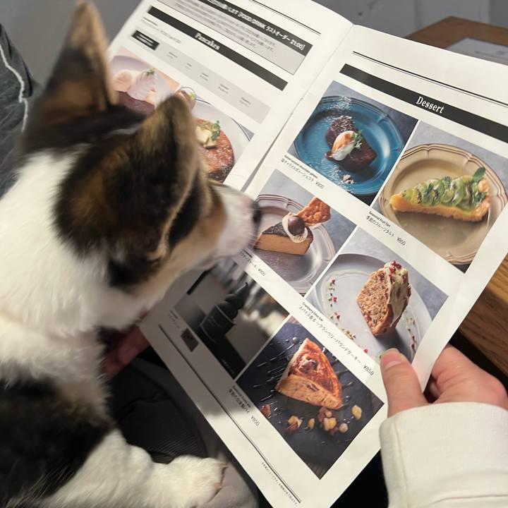 Ebd5b2ec 5dbb 410a b325 bbc5a7057178 1771770615724