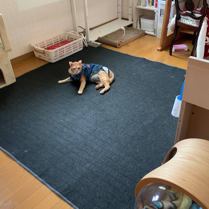 Ebd5b3e8 4eeb 40c5 9f5f a08d849b6552 1663714334301