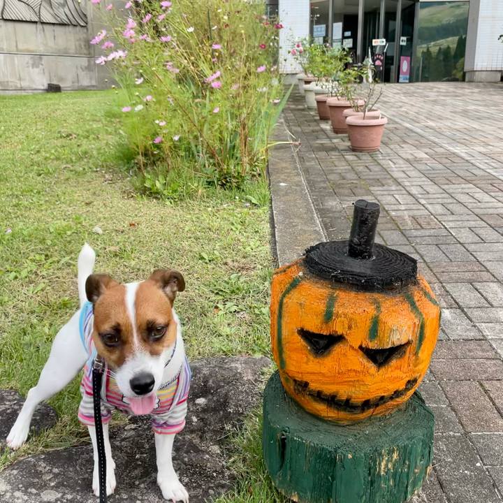 Ebd5c3dd c044 4f04 89fa 2c60028009cf 1632892645667