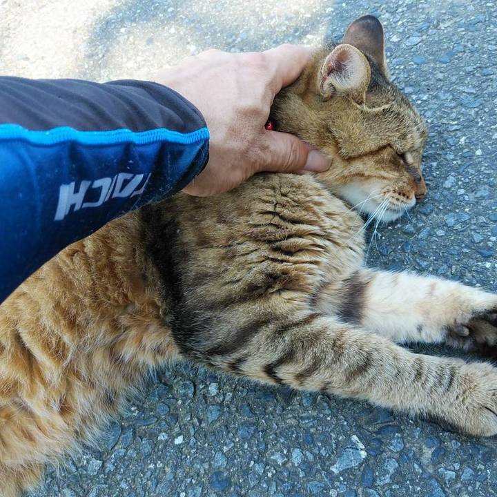 Ebd5eae3 5346 4cf0 8d2c 3809812867ad 1568160294632