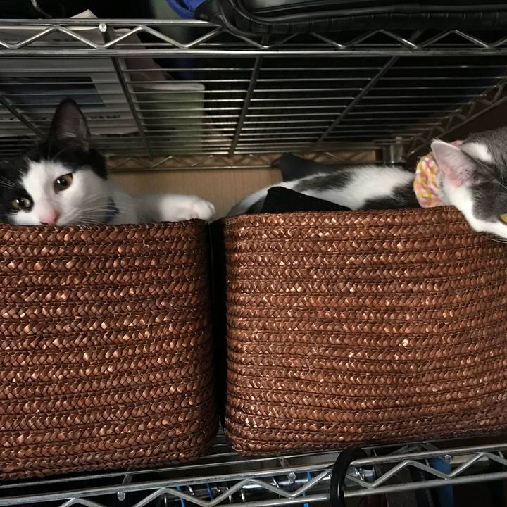 Ebd5fe0b 038d 4925 9c99 e6ea422db485 1515367311127