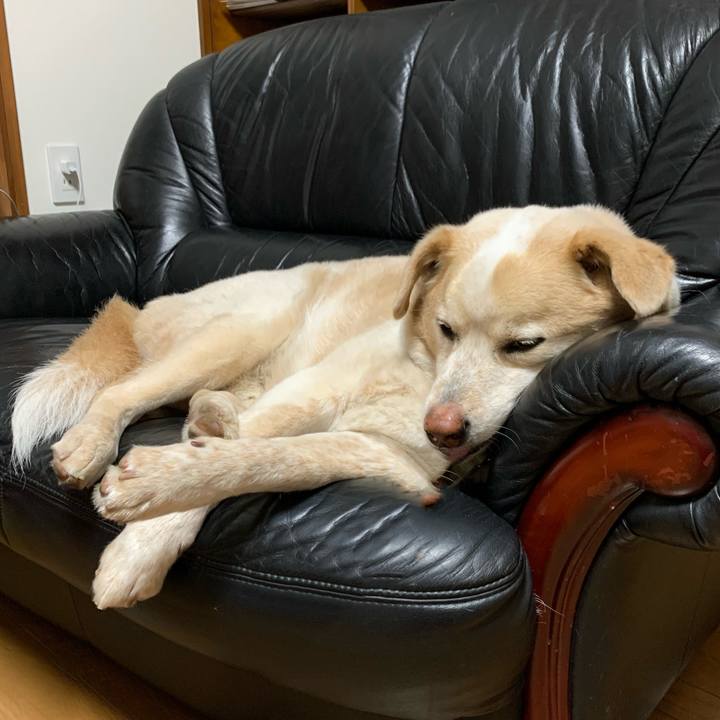 Ebd637f3 c410 4d07 a265 eacf0fea6c4e 1617379087877