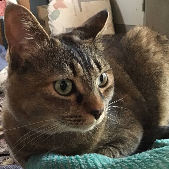 Ebd6560d 4e50 47fa 99ef 134d5ab231c9 1747819315759