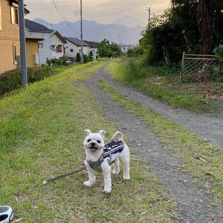 Ebd658df 82d3 4410 abcc ae84ae50998a 1716029711184