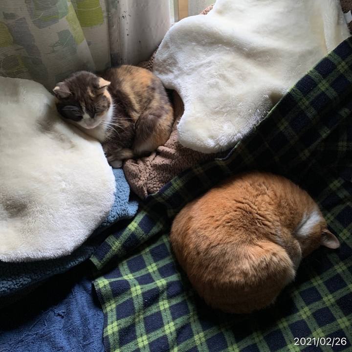 Ebd68a5b 155c 453e 8812 ba292764cdc2 1614304647889