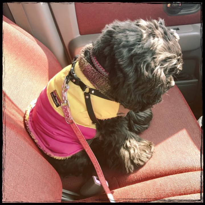 Ebd692fb 90b4 45ad b0f7 b079e574f443 1518154663575