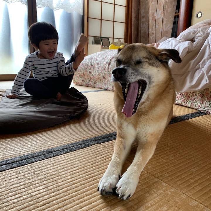 Ebd699f8 c2e4 476a 9070 bc8ca0efe21b 1556710281530