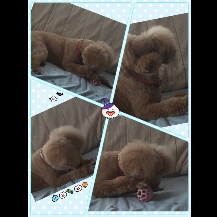 Ebd69f10 e397 4984 9202 02bc9de452c7 1538434339215