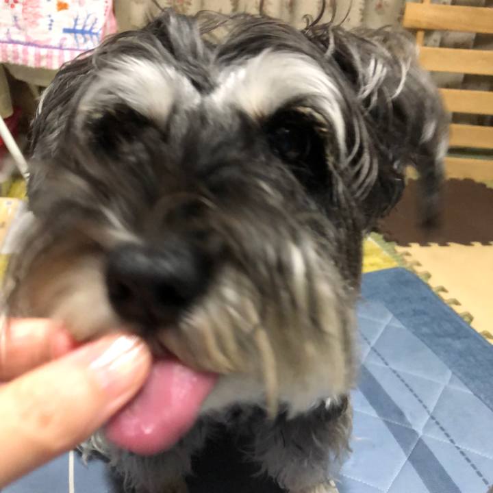 Ebd6ad37 012d 47f1 ba98 f1a929e1b669 1693054490097