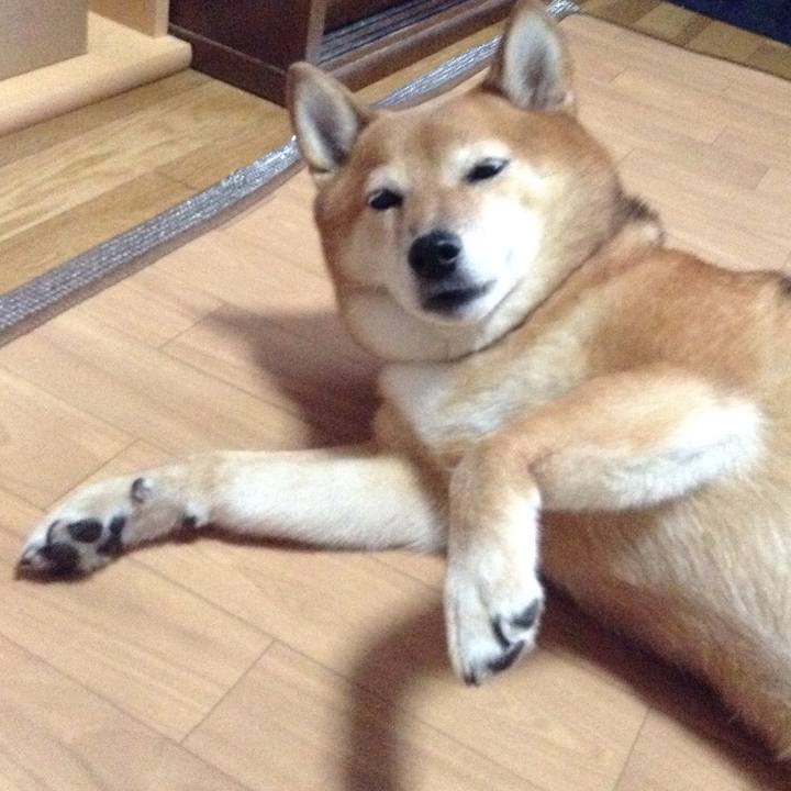 Ebd6bab1 4801 4a02 8787 eb07fbcb395b 1539075792971