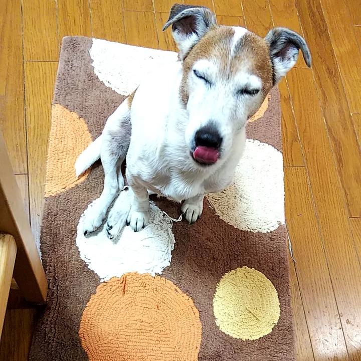 Ebd6e552 ed28 4c5d afc4 29238a216b6b 1553725484612