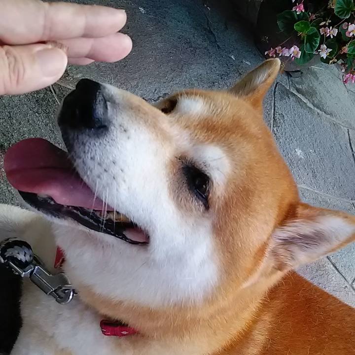 Ebd6eb37 9d95 4adc a8b6 56ee8ee2f40a 1662422049451