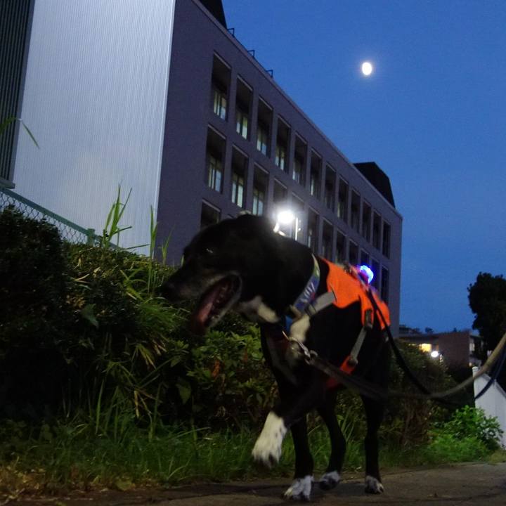 Ebd7139a ea3f 4238 86fe c53f62ab3a5b 1723719299198