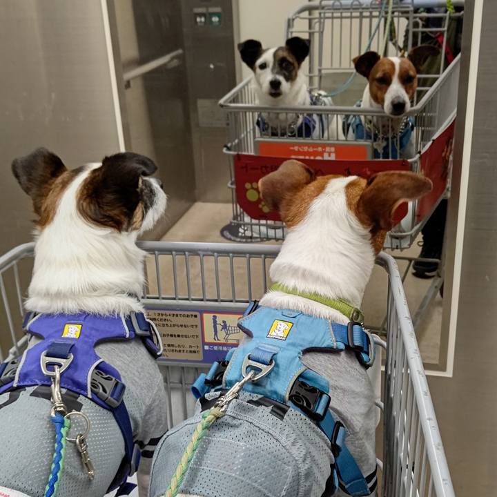 Ebd731ad 7ac8 41f2 89ab 9f1fa6272142 1619860196648