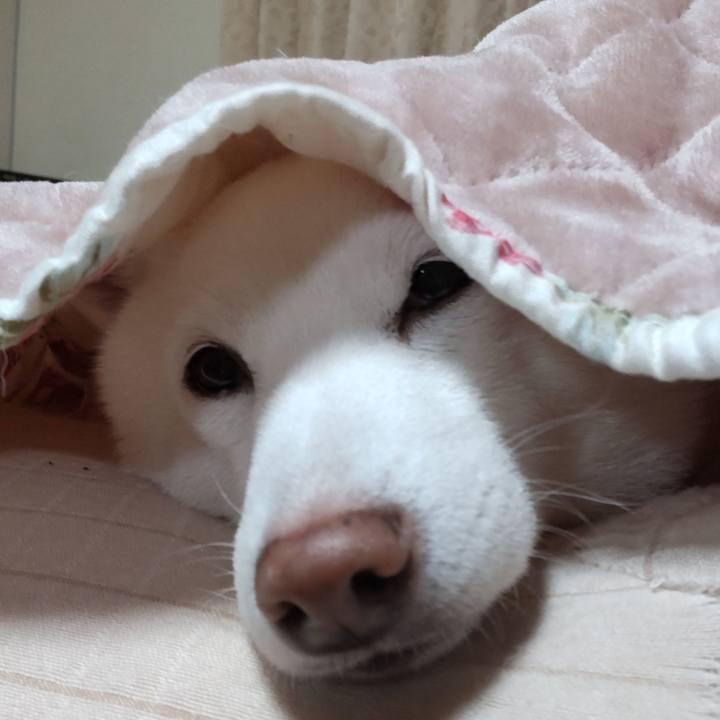 Ebd743fa adea 41bc 9846 d5e7b6ede701 1642687469677