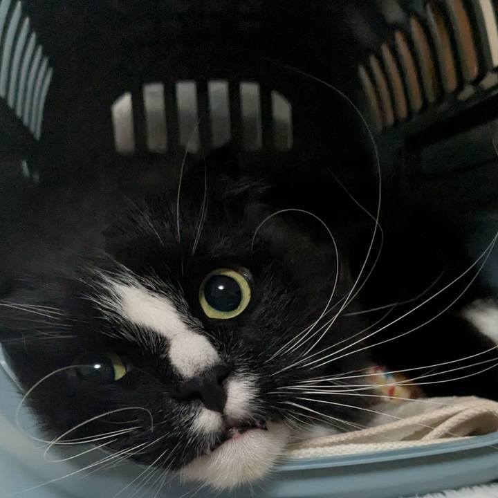 Ebd77b61 bbc9 41a9 92ec 0afc57dbba12 1748775367712