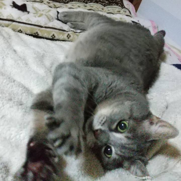 Ebd78537 c720 478a b84e cc5486339115 1605185541498