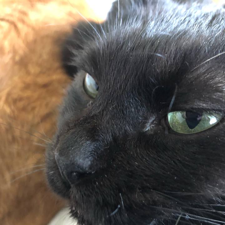 Ebd79185 20c1 4c75 b265 14b73f8c2fdc 1622274683342